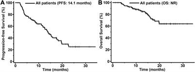 Real-world efficacy and safety of pyrotinib in patients with HER2-positive metastatic breast cancer: A prospective real-world study